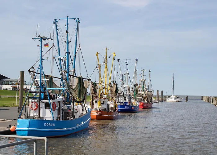 بيت للعطل Wittsand 18 *