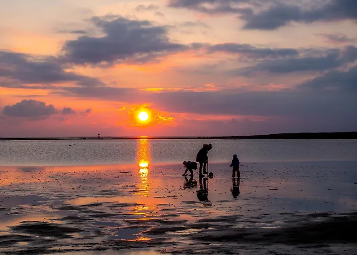 Wittsand 18 دورم نيوفيلد