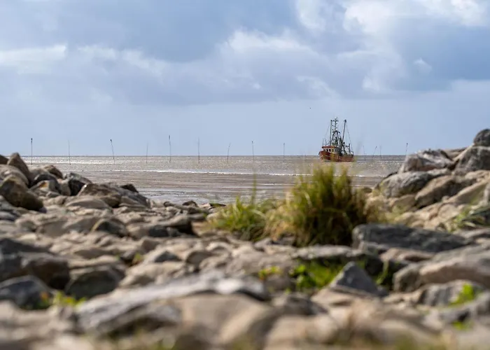 Wittsand 18 دورم نيوفيلد